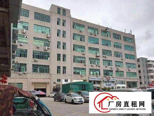  企石镇铁炉坑村3楼350方厂房出租，形象好，带地坪漆！
