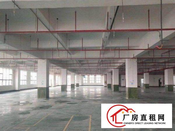  企石镇铁炉坑村3楼350方厂房出租，形象好，带地坪漆！