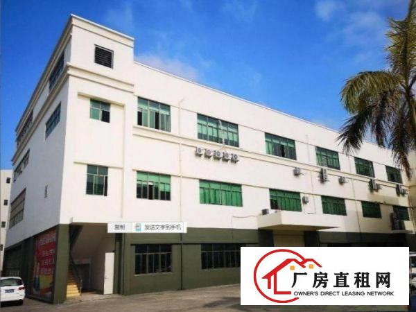  企石镇旧围村楼上厂房450平出租，价格实在，带装修