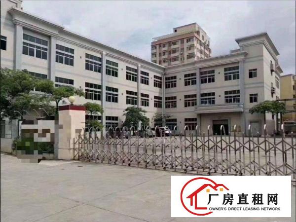  企石镇清湖村一楼标准厂房出租500平，高6米