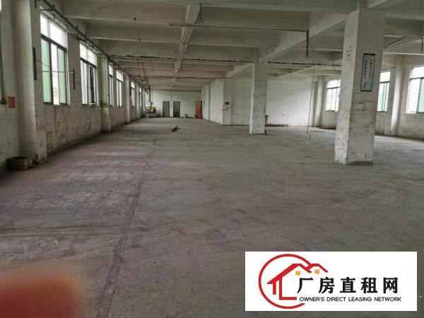  企石镇原房东独院标准厂房出租