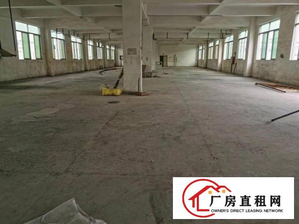  企石镇原房东独院标准厂房出租