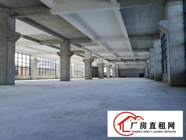  企石镇独院标准厂房出租