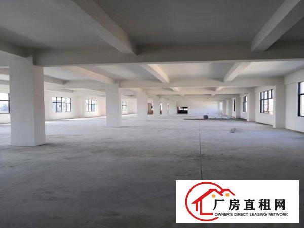  企石镇独院标准厂房出租