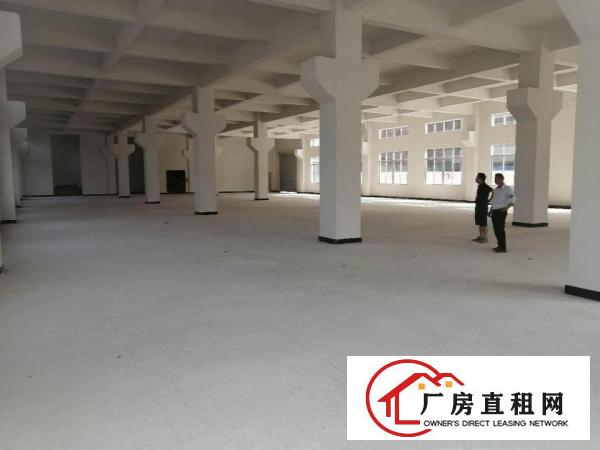  企石镇独院标准厂房出租