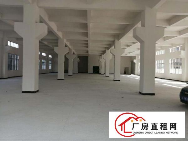  企石镇独院标准厂房出租