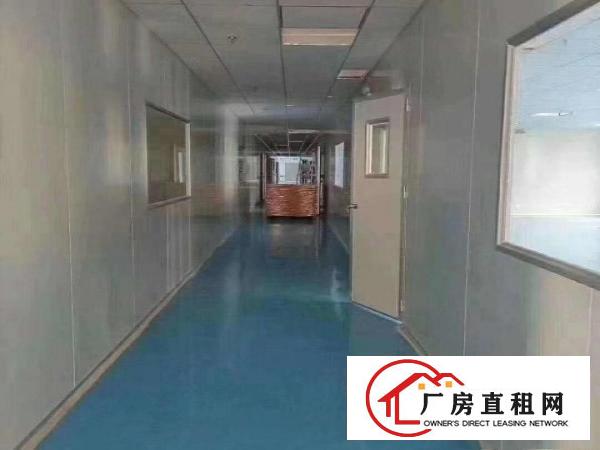  企石镇新出2600平方千级无尘车间，可生产口罩医疗器