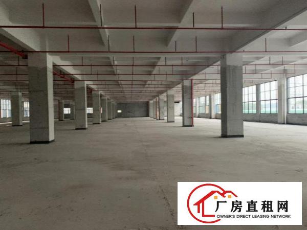  独栋，原房东，工业用地