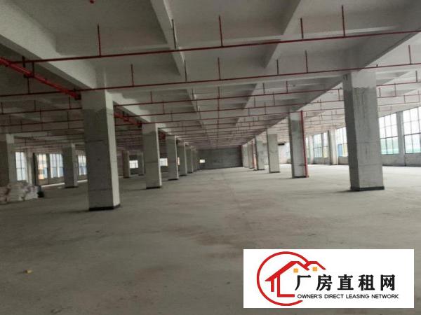  独栋，原房东，工业用地