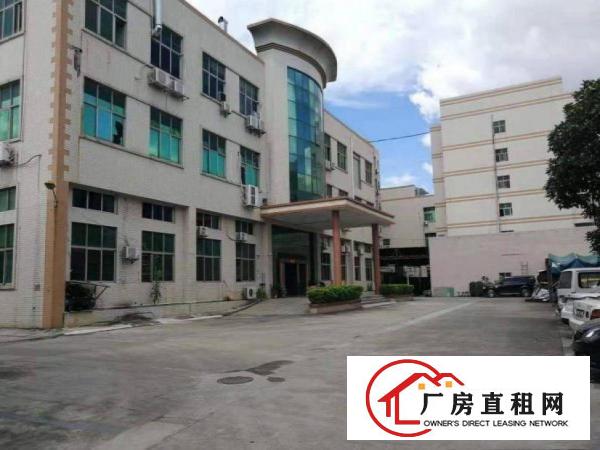  上洞一楼1200平方带牛角重工业厂房可分租600方