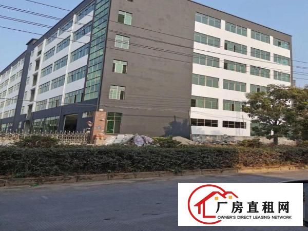  独门独院，全新标准厂房招租