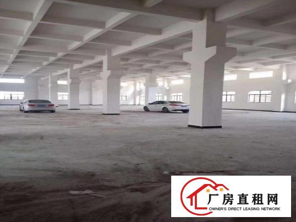  独门独院，全新标准厂房招租