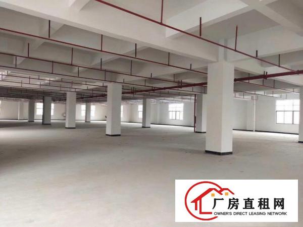  独门独院，全新标准厂房招租