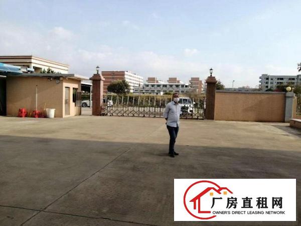  企石镇原房东15块重工业钢结构厂房出租