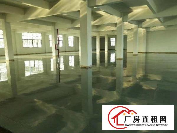  标准厂房，全新地平漆