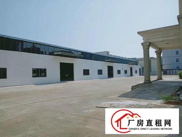  原房东无公摊钢构独院空地超大水电齐全