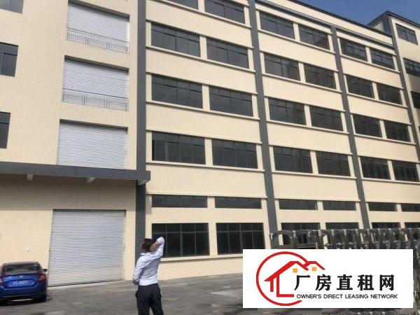  企石原房东全新标准独院厂房出租