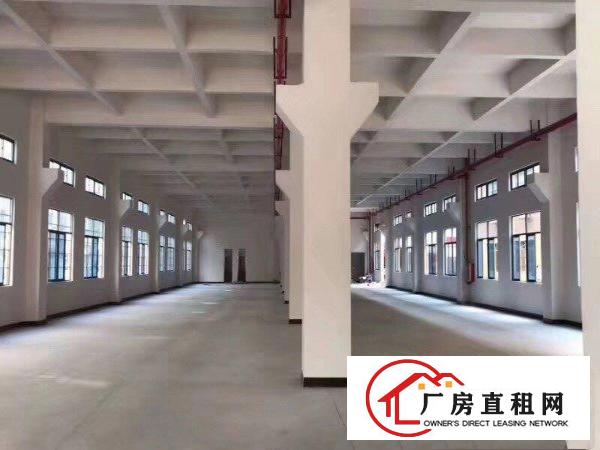  分租企石镇东平村科技路邦手科技园全新厂房