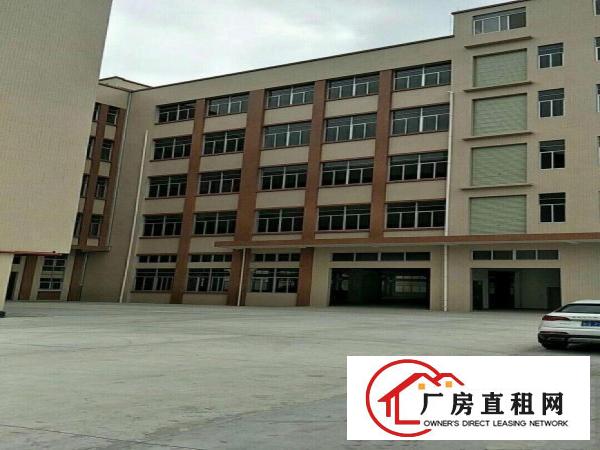  分租企石镇东平村科技路邦手科技园全新厂房