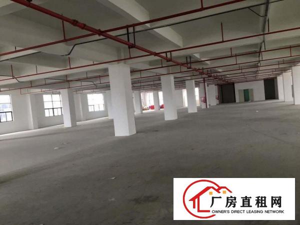  带氧化牌照一一企石新出原房东全新厂房大小可分租