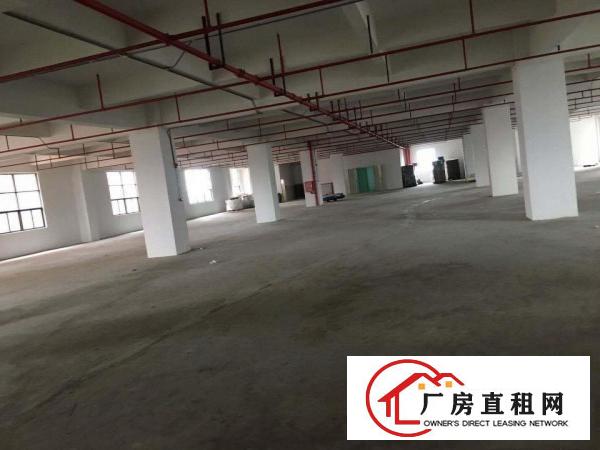  带氧化牌照一一企石新出原房东全新厂房大小可分租