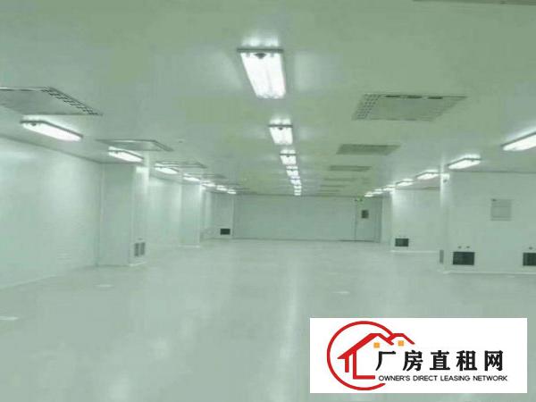  企石原房东分租无尘车间