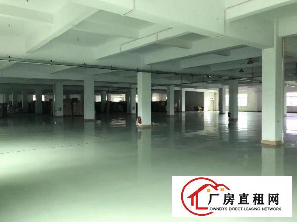  大小可分租水电齐全有现成办公室