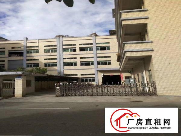  企石镇原房东标准厂房分租二楼1900方标准厂房分租原房东厂房