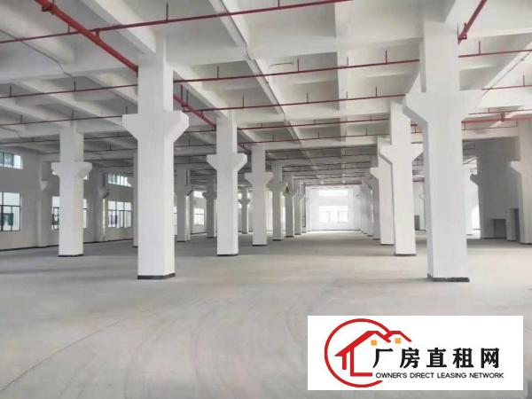  企石镇原房东标准厂房分租二楼1900方标准厂房分租原房东厂房