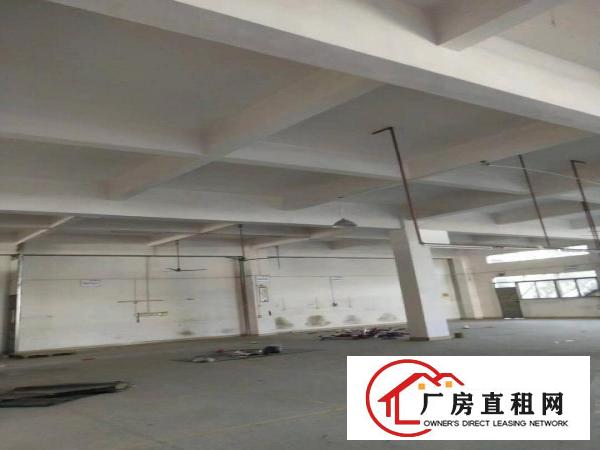  企石镇原房东标准厂房分租二楼1900方标准厂房分租原房东厂房