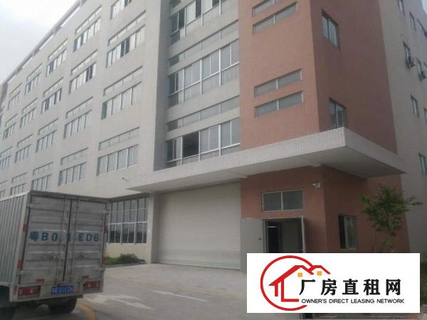  企石镇新出原房东标准厂房一楼1500平方，无公摊无杂费