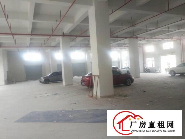  企石镇新出原房东标准厂房一楼1500平方，无公摊无杂费