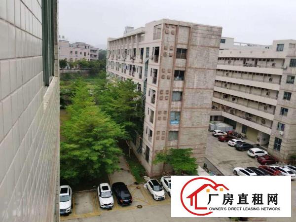  企石永发工业区5万平方厂房出租一楼厂房仓库招租200平方分租