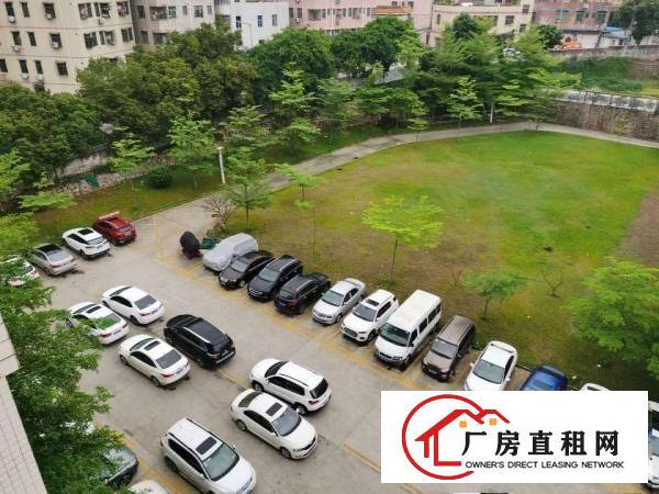  企石永发工业区5万平方厂房出租一楼厂房仓库招租200平方分租