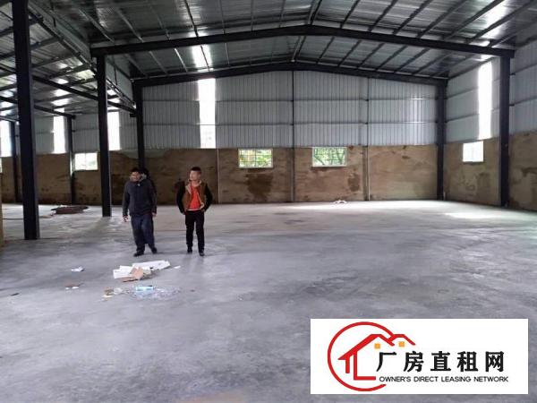  企石镇新出小钢构厂房500平方超低价格出租
