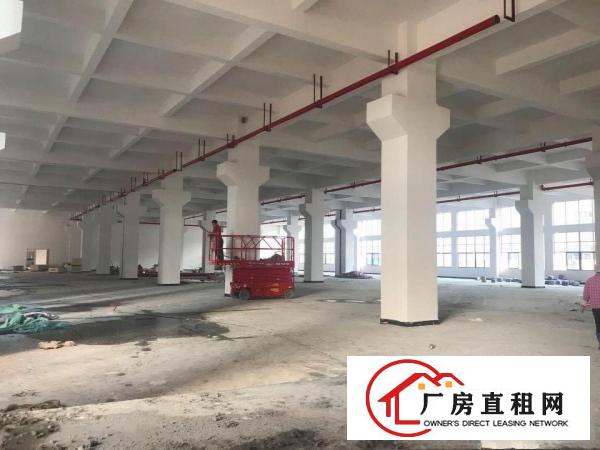  东莞企石镇标准一楼8米可做喷油4000平方可分租厂房出租
