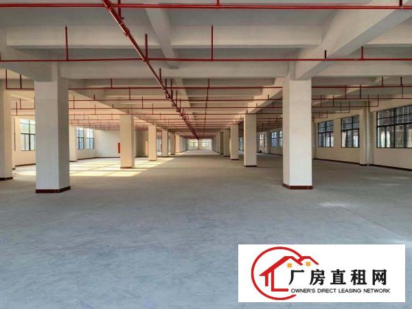  企石镇指定voc排放指标园区厂房招租