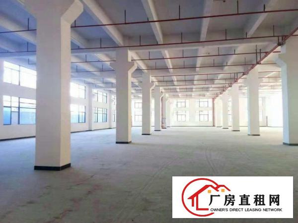  企石原房东全新标准厂房有voc排放指标厂房