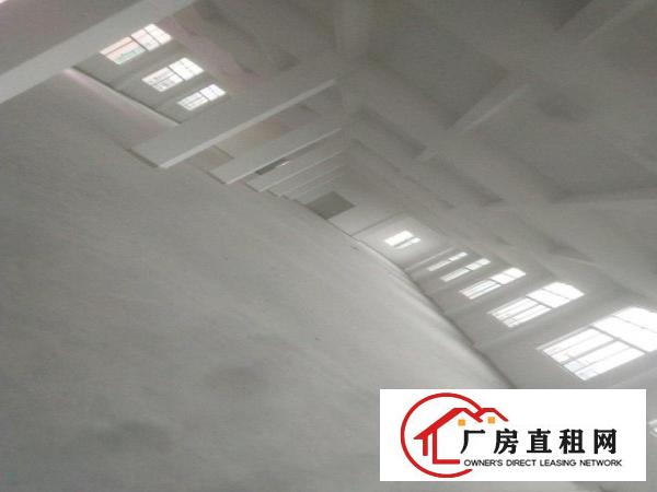  企石全新厂房价格可以就租