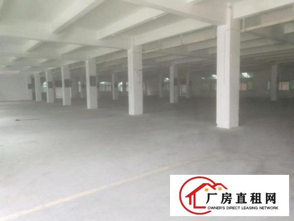  企石全新厂房价格可以就租
