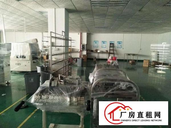  出租企石镇企石城区280平方厂房，现成装修，水电齐全