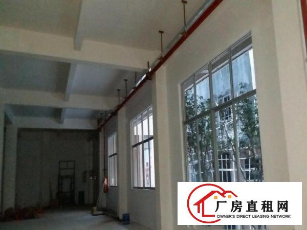  私人自建全新厂房出租(转让)