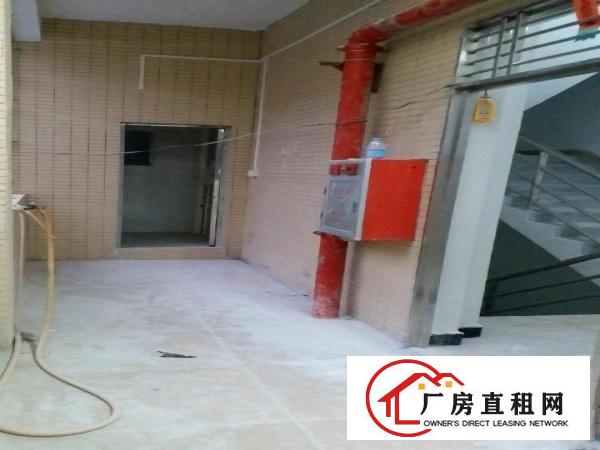  私人自建全新厂房出租(转让)