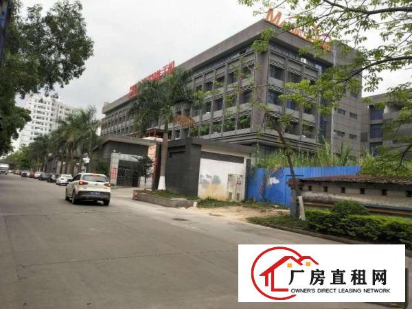  东莞企石楼上标准厂房精装修无转让费800平方厂房出租
