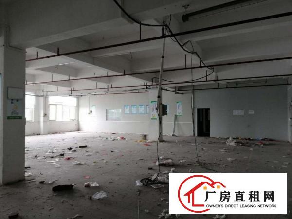  企石镇工业区空出原房东标准厂房分租二楼950平方，无公摊