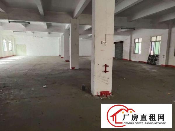  东莞企石镇新出一楼标准厂房800平方分租