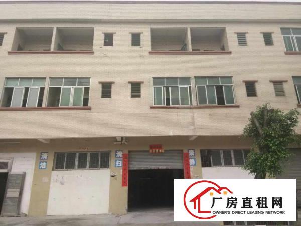  东莞企石镇新出一楼标准厂房800平方分租