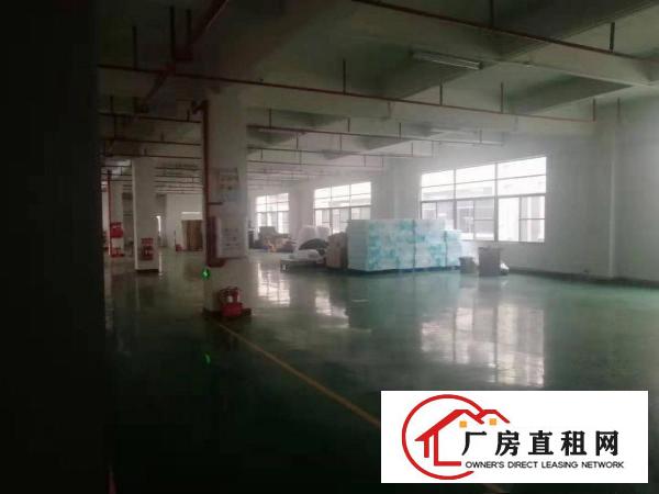 可做口罩车间厂房2100平方精装修有地坪漆办公家具齐全