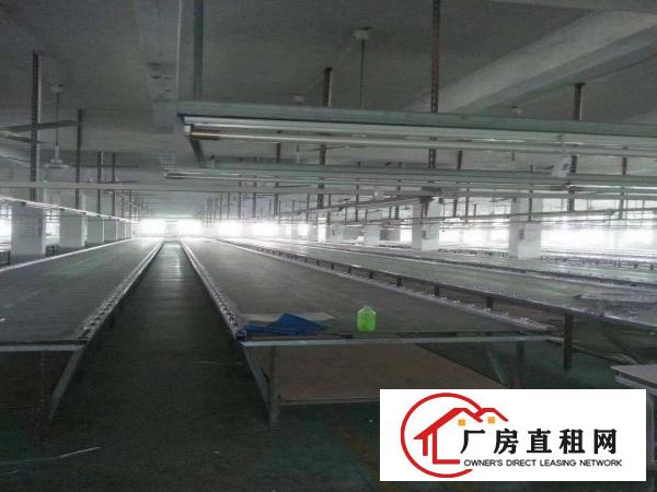  可做口罩车间厂房2100平方精装修有地坪漆办公家具齐全