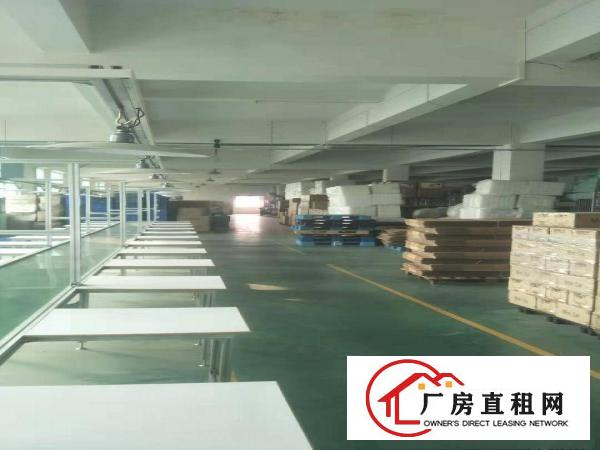  可做口罩车间厂房2100平方精装修有地坪漆办公家具齐全